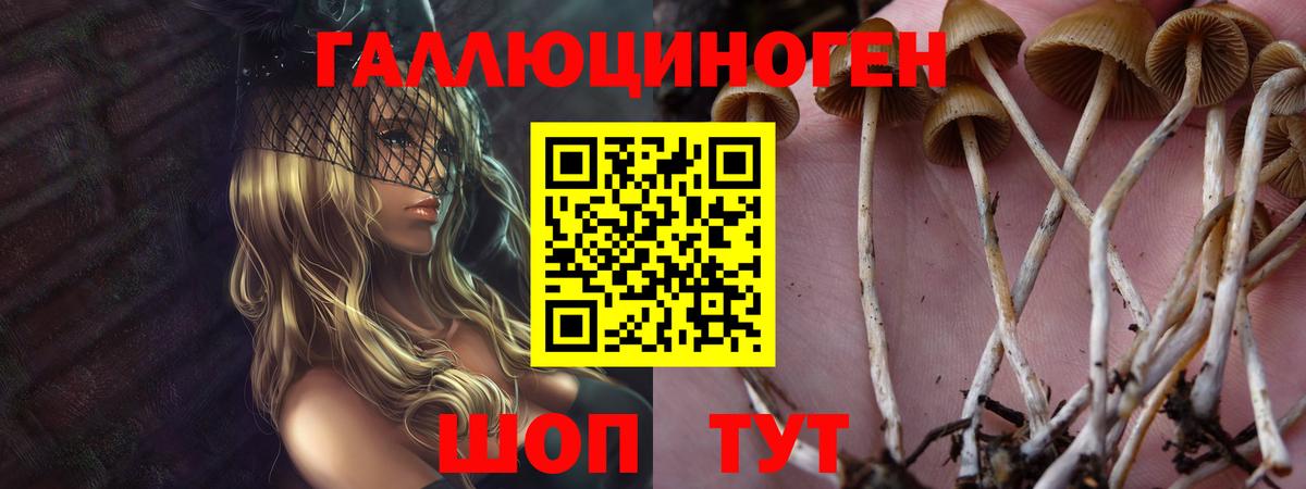 Галлюциногенные грибы мицелий Туапсе